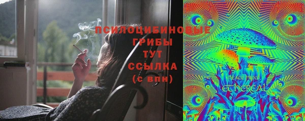 соль курить ск Ростов