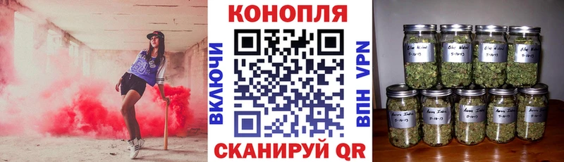 Шишки марихуана индика  купить  сайты  Новотитаровская 